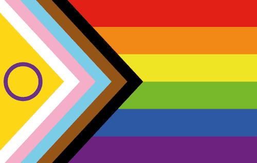 Una delle ultime versioni della Rainbow Flag.